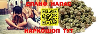гидра Гай